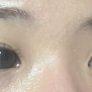 래쉬또비