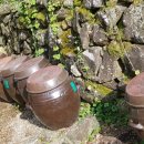 치성농장 이미지