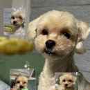 죽전2길 43,33-4 | 3월 알레르기 시작