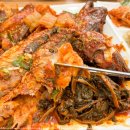 황금코다리 이미지