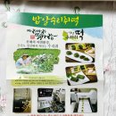 정선5일장 아리아리떡사랑 수리취떡 밥알찹쌀떡 식사대용떡 후기