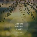 탑홀스