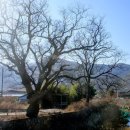 상정2구 이미지