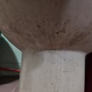 은행로7번길 Daum카페