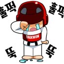 연희MTA태권도 이미지