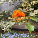 중랑역사및1,4번출구사이 | 2025 중랑구 장미축제! 가족 나들이로 딱 좋은 서울 봄꽃 명소