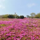 우암동 도시숲 이미지