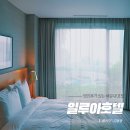 대전관광여행사주