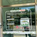 곤충생태원내 화장실(무당벌레) | [대구 아이와 가볼 만한 곳] 곤충 탐구부터 닥터피쉬 체험까지! '대구녹색학습원' 완벽 방문 후기