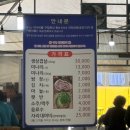 원동2리 마을회관 | [원동 미나리 축제] 원동 미나리 하우스 4번 - 내돈내산 주말방문 후기