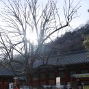 장성공원2 | 전남 장성 가볼만한곳 백양사 내장산 국립공원