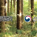 유한킴벌리 주식회사 이미지