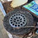 국내산 싱싱 연탄 산곰장어 이미지