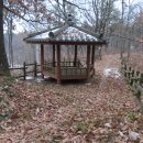 국도13호선 소나무길 | 삼포(옥룡)지맥 제2구간 - 뒷골재에서 박포교차로까지