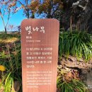 낙산사담장 | 낙산사 풍광이 아름다웠던 사찰 아이와 함께