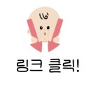 스타돌미디어