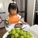 양감농장 이미지