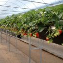 부부농장 이미지