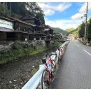 이인초등학교 | 교토 자전거 여행 필수 코스! Road Bike Rental Japan 교토 완벽 후기 인생 자전거 대여점 발견!