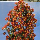 행정사감병기사무소 이미지