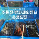 정은수산횟집 | [강원도] 주문진 방파제회센터 충청도집 , 나만 알고 싶은 오션뷰 횟집