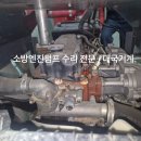신성부란자