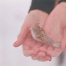 아로 이미지