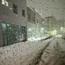 해리뜰식품 | [일본여행] 단풍보러 떠난 교토&오사카 여행 1일차 :: 인천공항/센토고쇼/디앤디파트먼트교토/하나...
