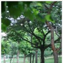 신월근린공원 이미지