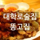 똥고집언니
