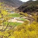 어느봄날 이미지