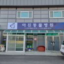 영천동물병원 티스토리