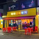 미아오비베어