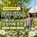 필무드(fillmood) | 파주 데이트코스 추천 샤스타데이지 꽃밭이 예쁜 광탄 필무드 카페 후기