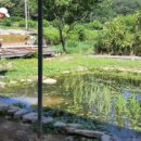 청아농장 이미지