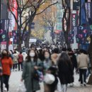 명동여행사 이미지
