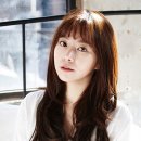 타임컬쳐스 이미지