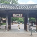 단오 | 한국민속촌 아이와 하루 종일 즐긴 용인 한국민속촌 단오 행사 후기