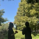 서림동물병원 이미지