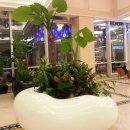 새만금종합수산시장 이미지