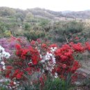 임피농장 이미지