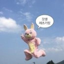 크로스핏 하울 이미지