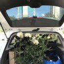 정운농장 이미지