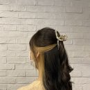 시크릿헤어 이미지