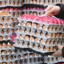 태미농장 이미지