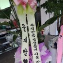 지북동송어 이미지