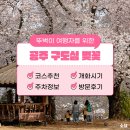 공주교육대학교 박물관 | 공주 구도심 벚꽃 스폿 모음 뚜벅이 여행