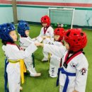 대호태권도 이미지