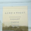 카페하얀온도
