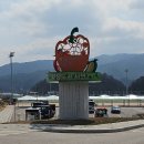 DMZ 평화의 길 17코스(남대천교 - 와수리세월교) 걷기 - 2025.04.10